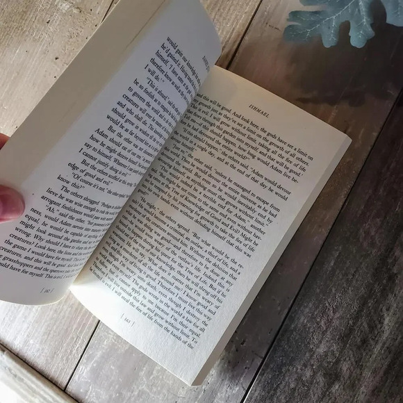 Ishmael: An Adventure of the Mind and Spirit - Picture 3 of 8